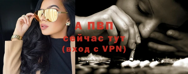 MESCALINE Осинники
