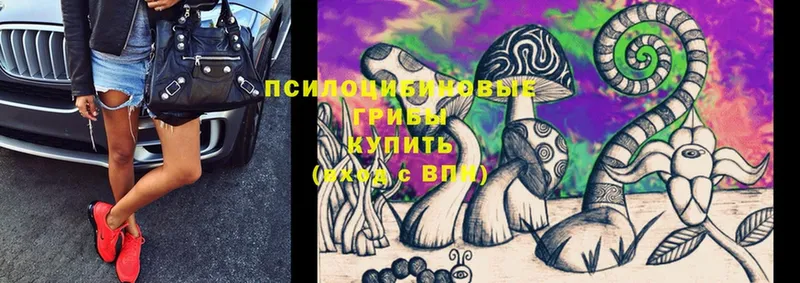 blacksprut ССЫЛКА  Багратионовск  Псилоцибиновые грибы Magic Shrooms 